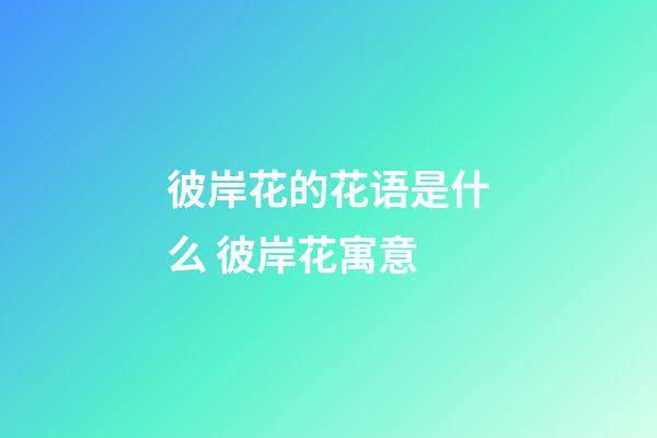 彼岸花的花语是什么 彼岸花寓意